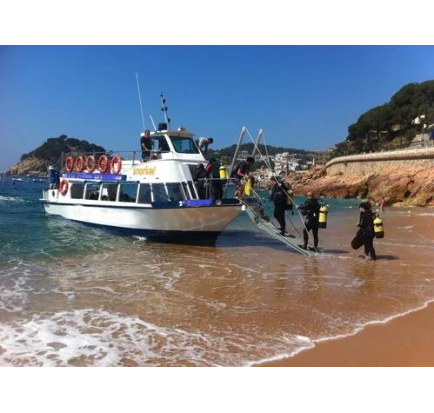 Used Motorboat Commercial Snorkelling Day Cruiser Fishing Boat