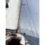 Used sailboat KETCH TAIPEI 36