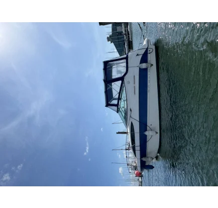 Used Motorboat Bayliner 245
