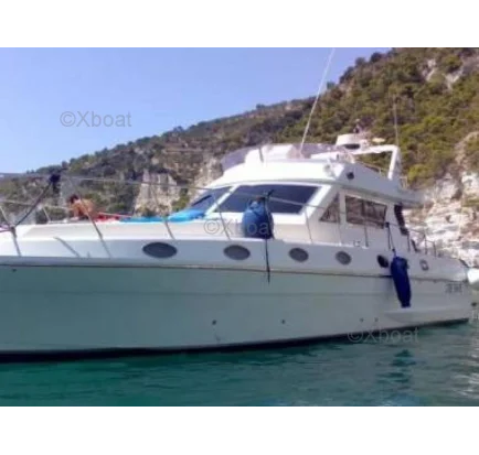 Used Motorboat PIANTONI 45