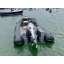 Used Yacht Northstar Axis 4.2