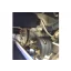 Used sailboat 1250