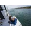 Used Yacht Merry Fisher 1295