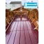 Used sailboat zeilpunter