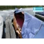 Used sailboat zeilpunter
