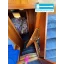 Used Yacht Contessa 37E