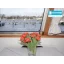 Used Yacht 2300