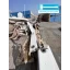 Used Yacht Elegance 92 Dynasty
