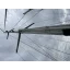 Used sailboat 36