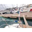 Voilier d'occasion Sun Odyssey 49