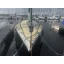 Used sailboat 28