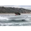 Used Yacht 9.7 Nautique TWISTED