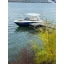 Used Yacht LS4 SURF
