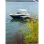 Used Yacht LS4 SURF