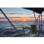Used sailboat Cruiser 42 Used sailboat Cruiser 42