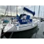 Used sailboat 31