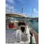 Used Yacht RINKER FIESTA VEE 300