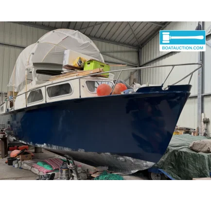 Used Motorboat Delta kruiser 990