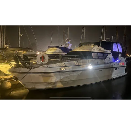 Bateau à moteurs d'occasion Birchwood TS37