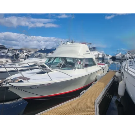 Used Motorboat RIVA BERTRAM 25 SPORT FISHERMAN