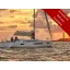 Used sailboat Sun Odyssey 490