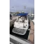 Used Yacht SEA RAY 315 SUNDANCER