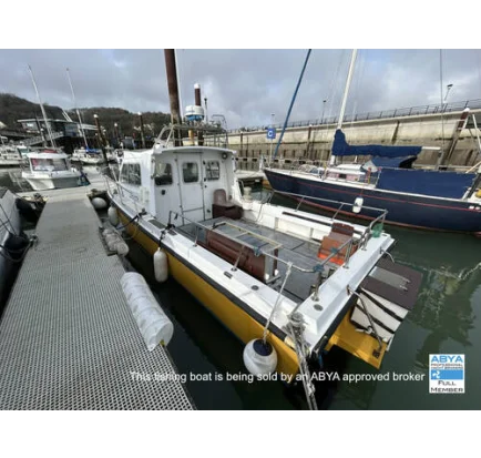 Used Motorboat  Offshore 8.8 V Promaster