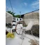 Used sailboat KAESER 60