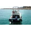 Used Yacht FAIRLINE 31 CORNICHE