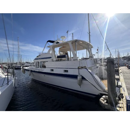 Motorboat used Trader 445