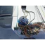Used sailboat first 31.7