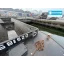 Used Yacht SB520