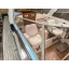 Used Yacht Huntsman 31