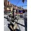 Used sailboat Gaff-Rigged Schooner