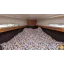 Used sailboat Cruiser 37