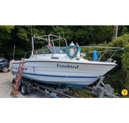 Motorboat used Bayliner Trophy Walkaround 2102