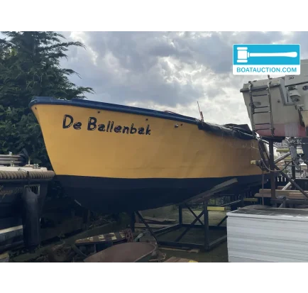 Bateau à moteurs d'occasion Motorboat 800