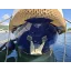 Used Yacht Multivlet 10.10 AK