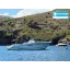 Yacht d'occasion Cap Camarat 8.5CC