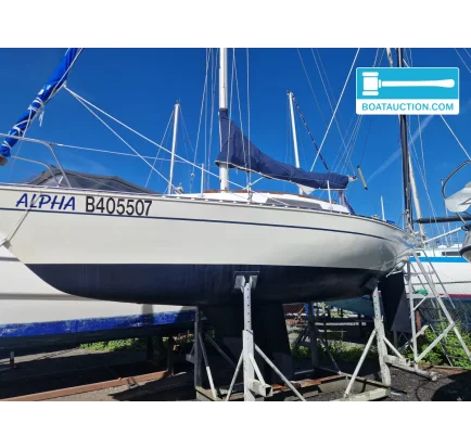Voilier d'occasion Trapper 300