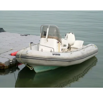 Motorboat used Zodiac Pro 5.5