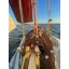 Used sailboat Essex Fishing Smack (Early 1800s)
