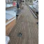 Used sailboat Goélette  