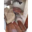 Used Yacht SESSA S32