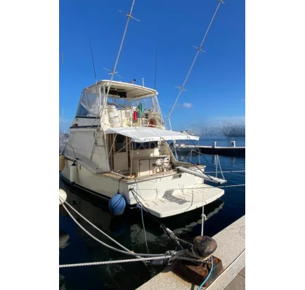 Used Motorboat Hatteras 51