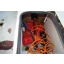 Used sailboat Etap 21i trailer sailer