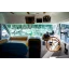 Used Yacht Merry Fisher 805
