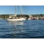 Used sailboat 42' Sloop