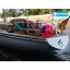 Used sailboat 38