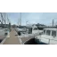 Yacht d'occasion Antares 7.55